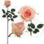 Arrangement floral marguerite de soie-306529871-349111189