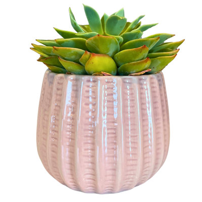 Pot en céramique de 4 po, plante décorative