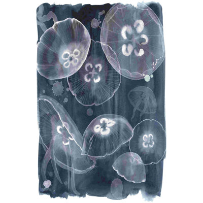 Moon Jellies II