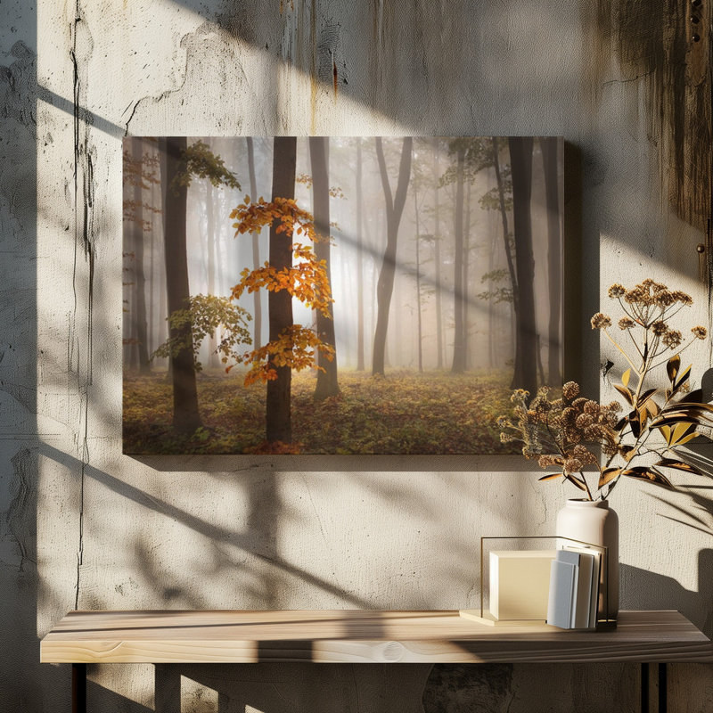 Wrapped Canvas Print, 76.2 cm H x 50.8 cm W