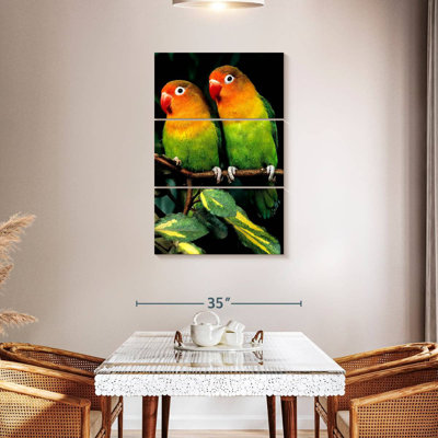 Brampt Vibrant Fischer's Lovebirds
