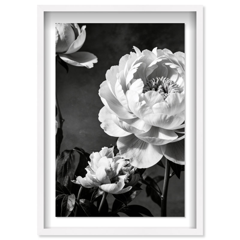 Still Peony Print by Oliver Gal, 16.5" H x 11.5" W, White Shadowbox