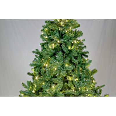 Arbre de Noël 72 po pin éclairé