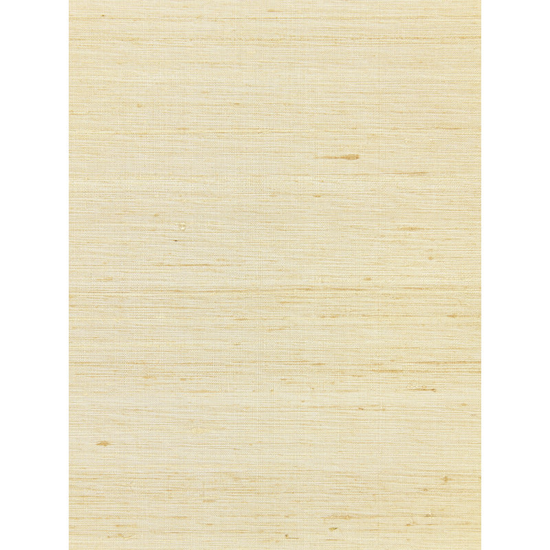 Rouleau de papier peint de couleur unie de L 3 pi x L 43 po Callisto, Paille