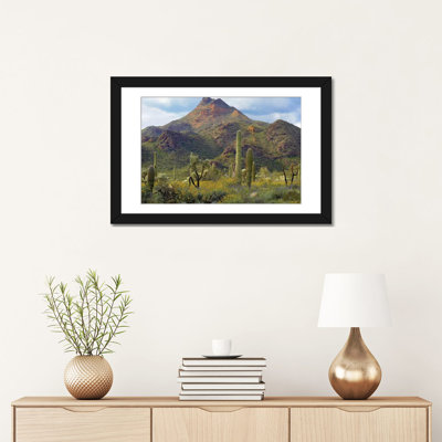 " Saguaro And Teddybear Cholla, Arizona Amid Flowering Lupine And California Brittlebush I " by Tim Fitzharris