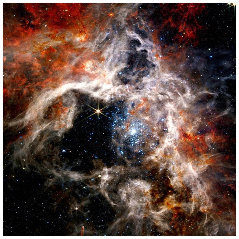 " The Tarantula Nebula "