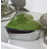 Lime is out of stock selected