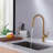 Dilon Pull Down Kitchen Faucet