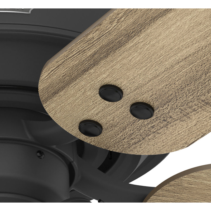 Matte Black and Golden Maple 52" Ceiling Fan with LED Light