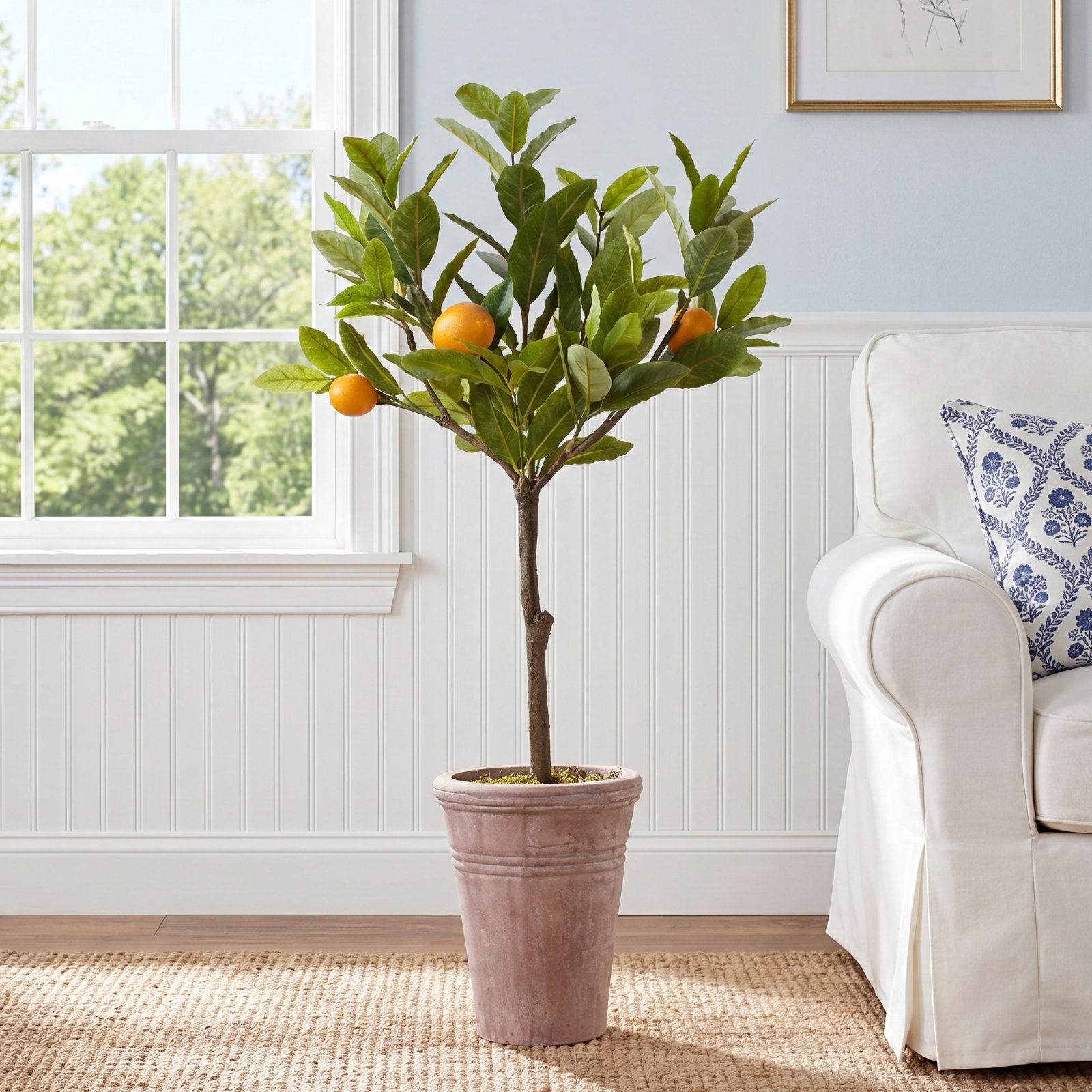 36'' Plant