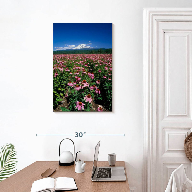 Harnek Echinacea Field, 30" H x 20" W