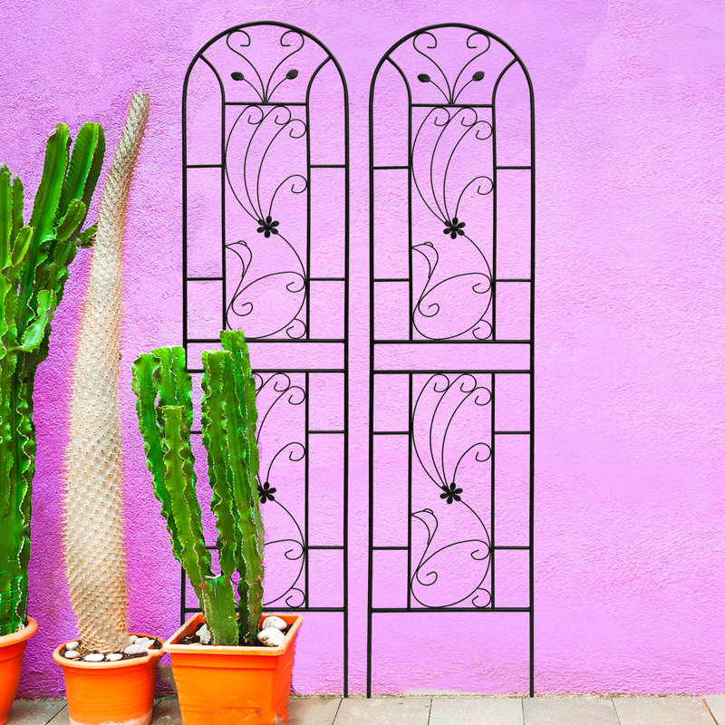 Paquet de 2 treillis de jardin en métal antirouille pour plantes grimpantes