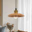Luminaire suspendu simple à 1 lumière Rozalee-1721959390