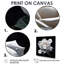 Blooming White Rose On Black - Rose, art mural-104687211-104687216