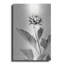 Art mural en métal luxueux «White Dahlia II» par Lori Deiter, art mural en métal, 24 po x 36 po-101673709