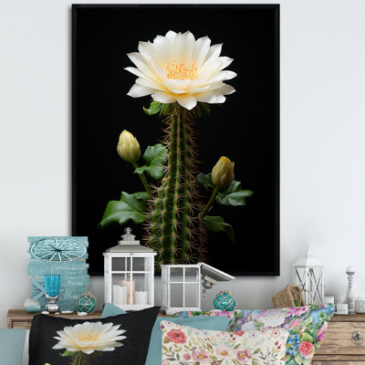 «Cactus Ivory Isolation II», reproduction sur toile