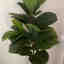 Photos des clients 2 de 2
