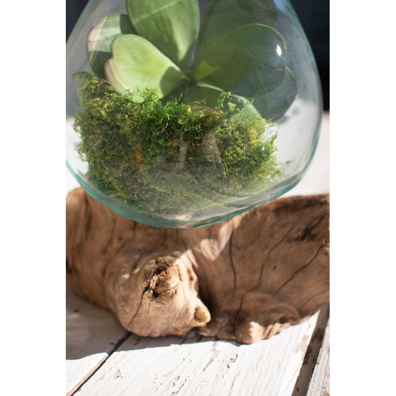 Bol en verre soufflé sur base en bois flotté - grand