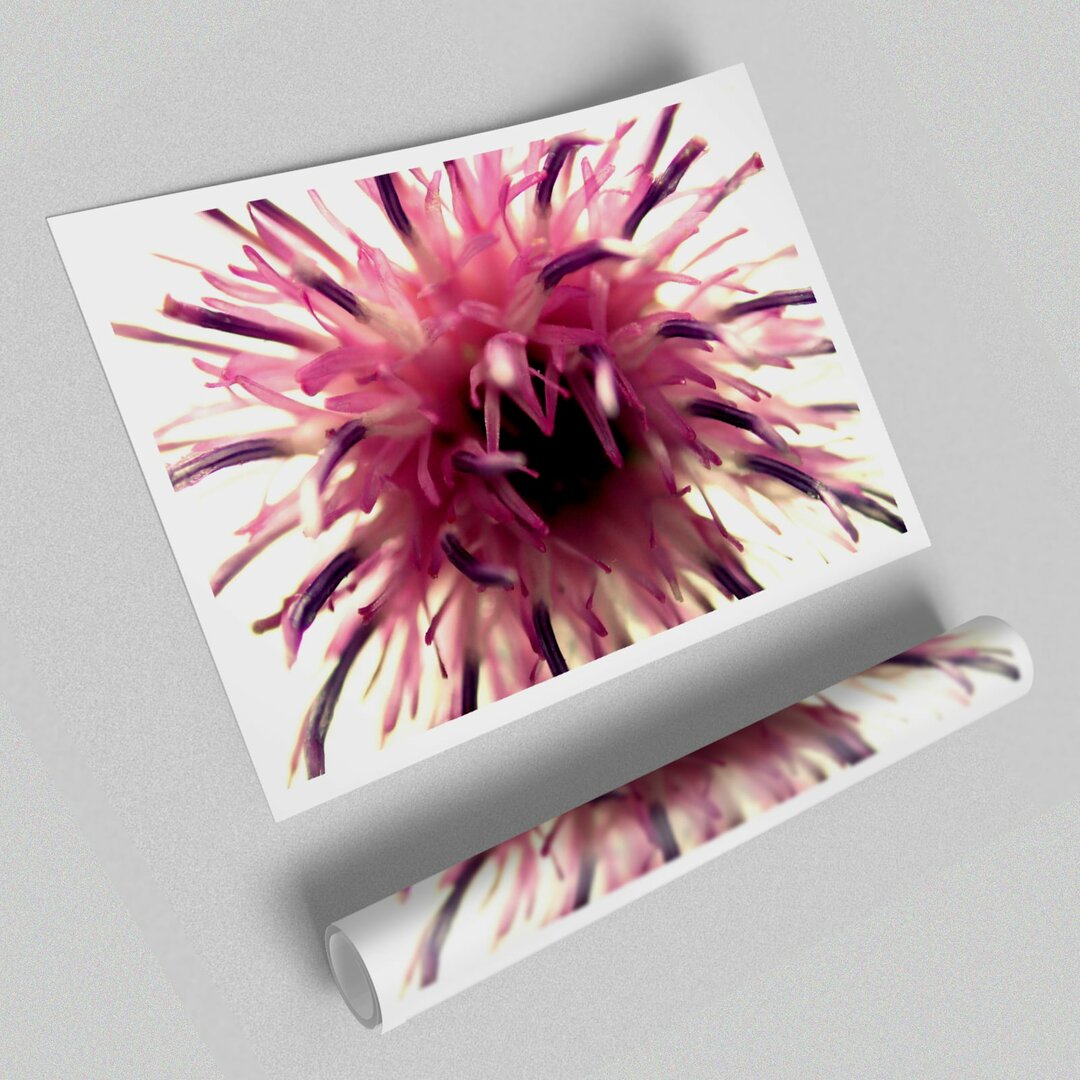 Flower Head Explosion Flowers' - Ungerahmter Fotodruck auf Papier