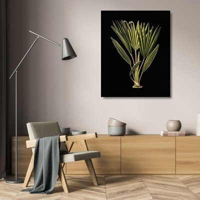 Winston Porter Vision Studio Gallery Wrapped Canvas Art Titled: Green Leaves on Black V