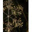 Lighted Window Décor