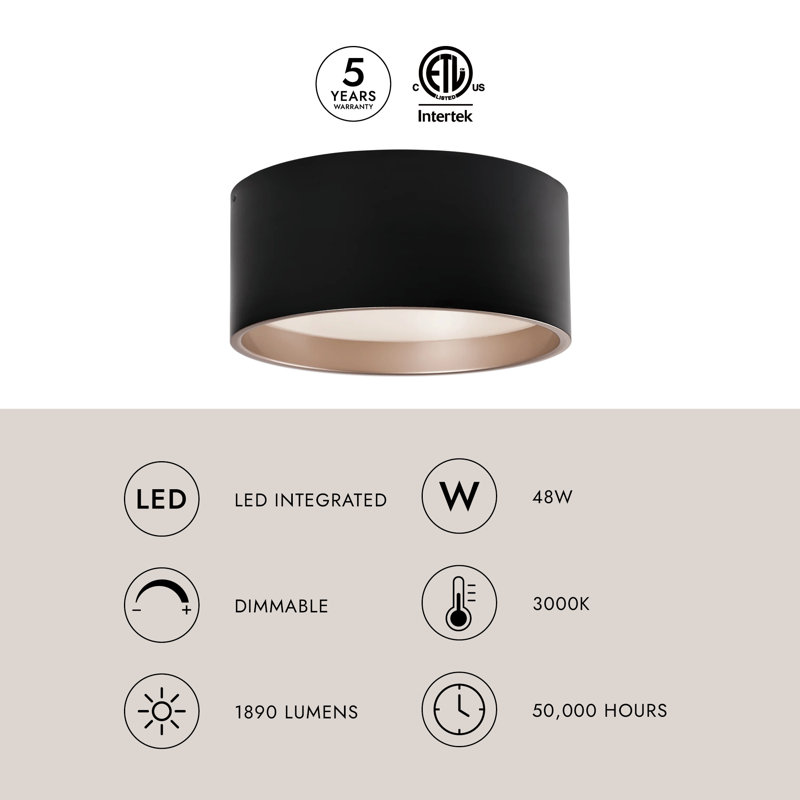 Mousinni 1 - Light LED Flush Mount, Black, Black