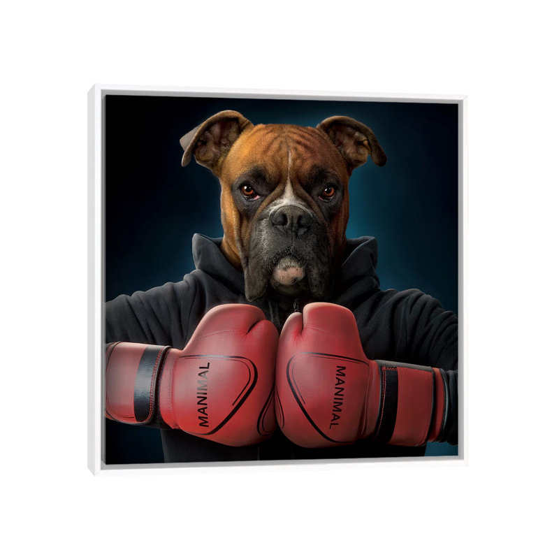 Boxer by Vincent Hie - Print on Canvas, 66.04 cm H x 66.04 cm W, White Framed