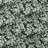 Laura Ashley Bramble Floral Cotton Reversible Comforter Bonus Set-1039078267