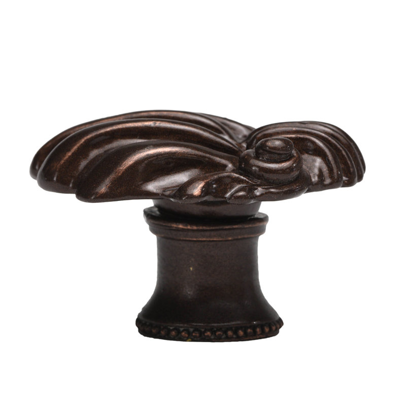 Aphrodite large shell knobin, Oil Rubbed Bronze