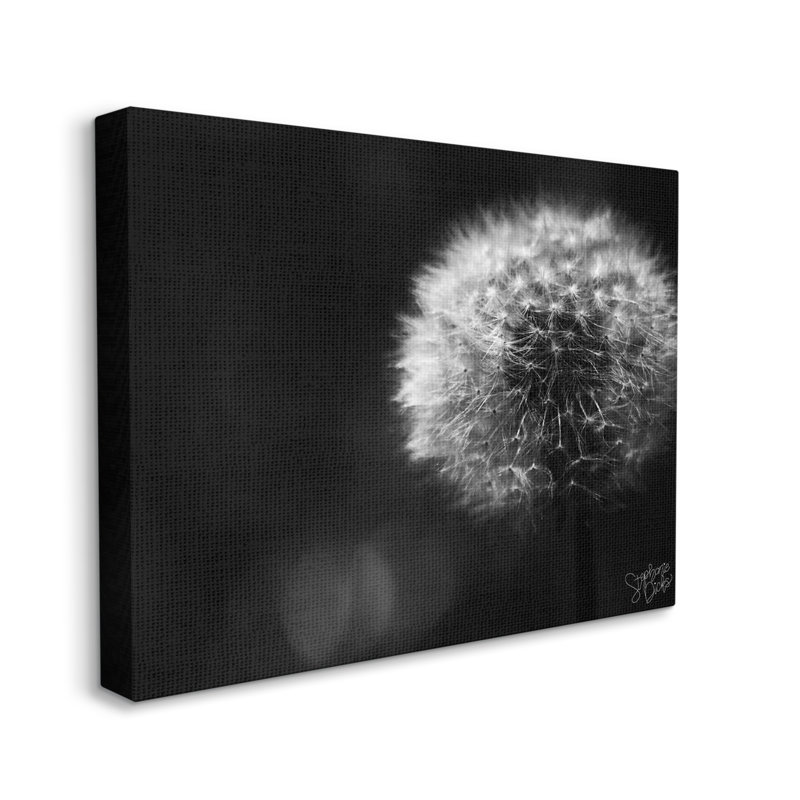 Art moderne sur toile flottant par pissenlit moderne par Stephanie Dicks, H 16 po x l 20 po x P 1,5 po, Toile tendue