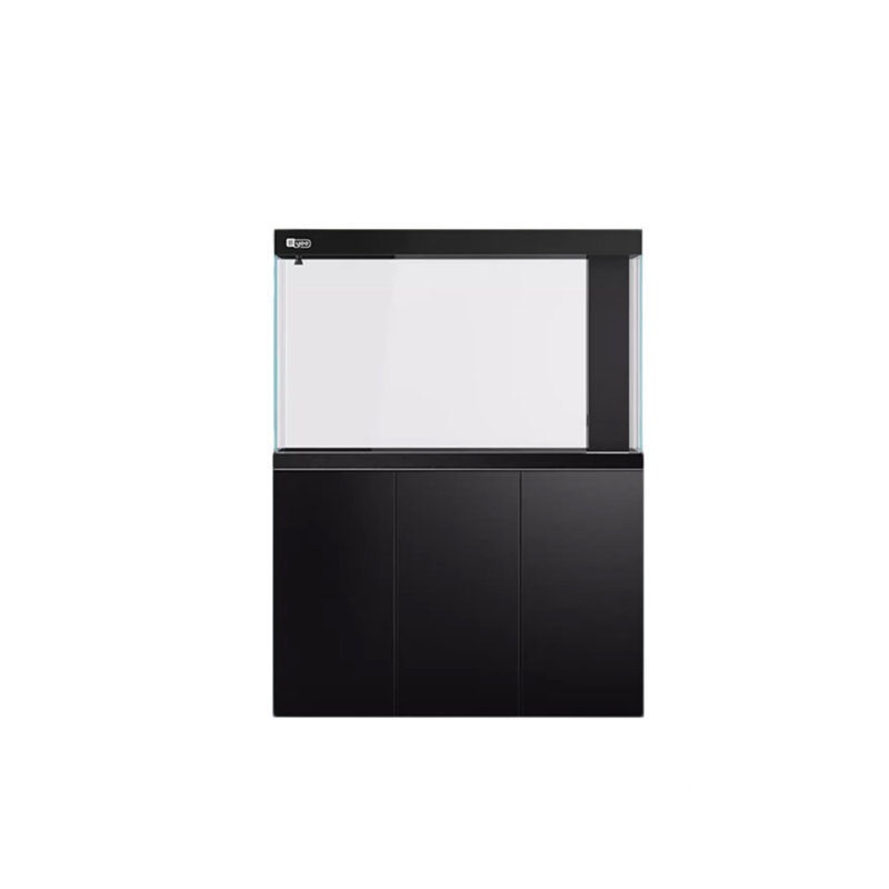 Aquarium transparent 47,24 po à fond noir
