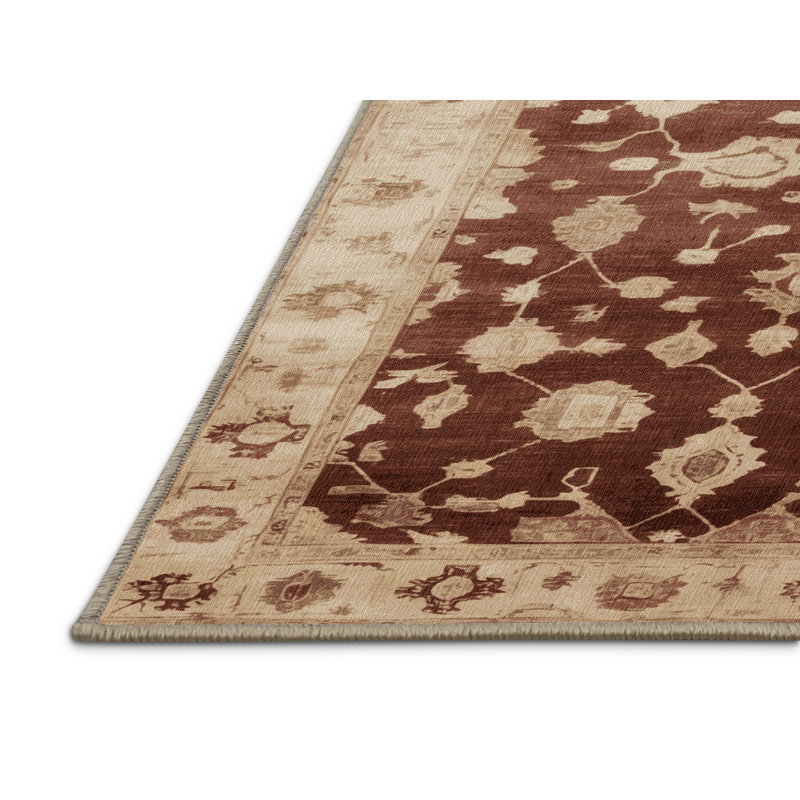 Machine Washable Overdyed Brown Area Rug, Rectangle 2' x 3'