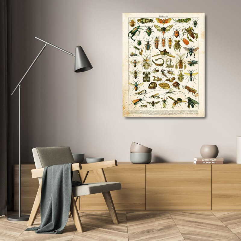 «August Grove® Babbitt, Gwendolyn Gallery», art sur toile tendue sous le titre «Bug Chart II», H 24 po x l 20 po