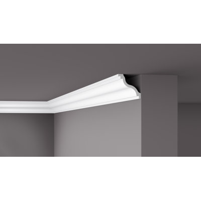 Fearne 10 cm H x 200 cm W x 10 cm D Plastic Crown