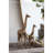 Wheaton Animals Statue-581703832