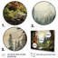 «Redwood Tree Whispering Giants», reproduction d'art sur toile-46995939-46995937