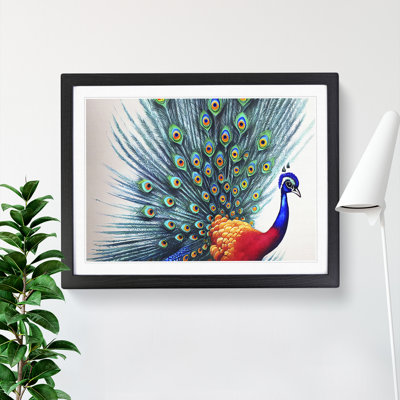 Watercolour Peacock Art - Single Picture Frame Painting