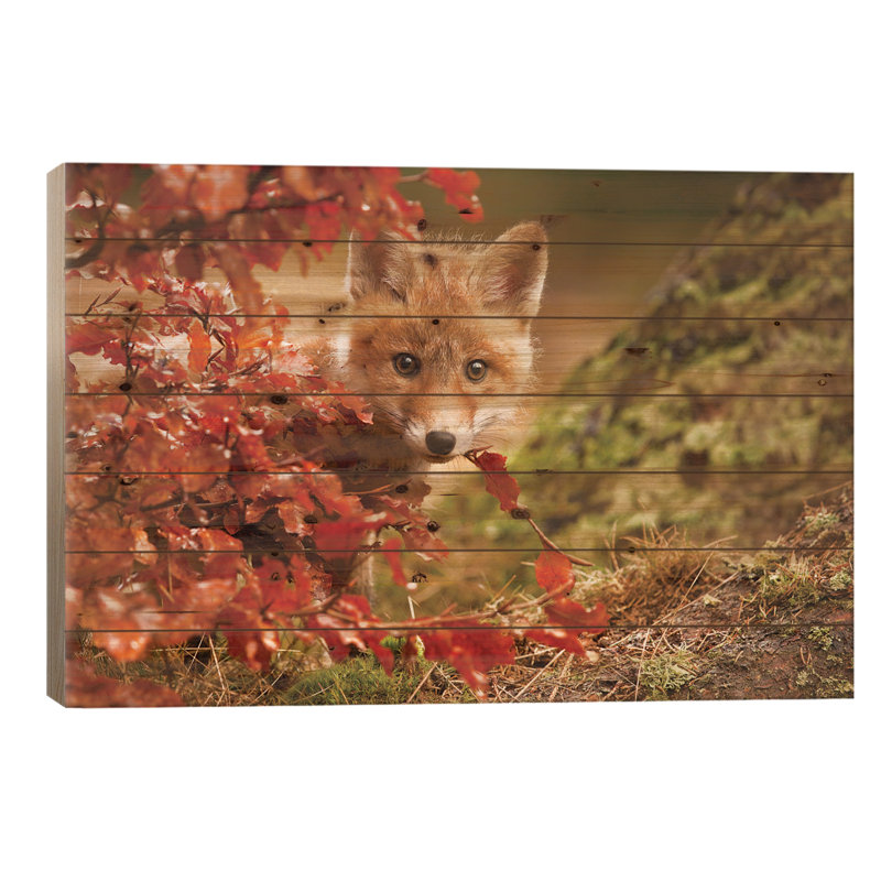 Renard, H 18 po x l 26 po x P 1,5 po