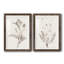 «Neutral Botanical Study VIIP», reproduction d'art encadrée - prête à être accrochée-558944172-559107761-558944174