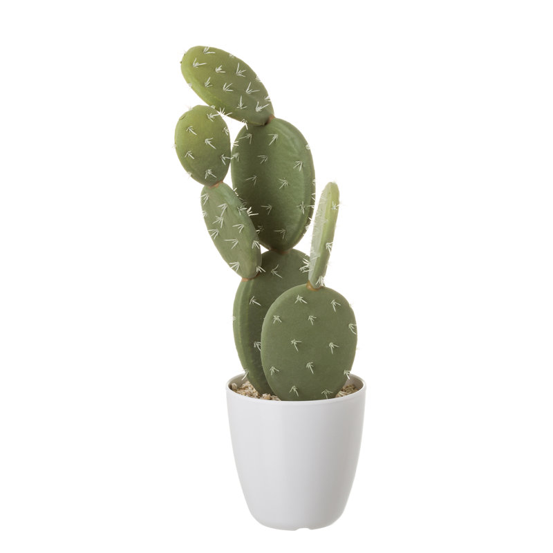 Plattsmouth 39cm Faux Cactus Plant in Porcelain Pot