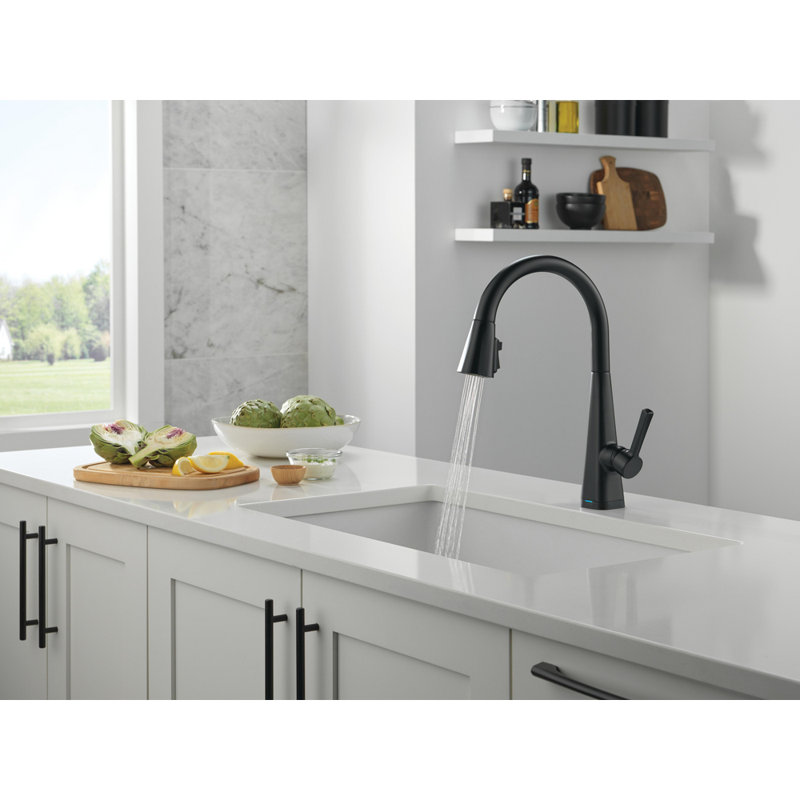 Lenta Touchless Kitchen Faucet with Touch Technology, Matte Black Kitchen Sink Faucet with Pull Down Sprayer, Single Hole, Matte Black
