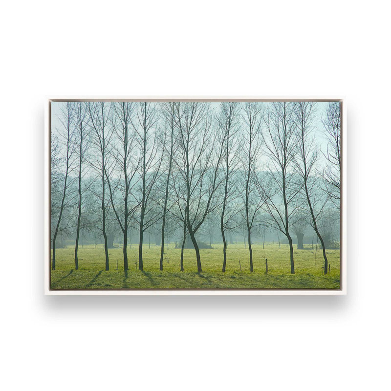 «Misty Normandy Meadow» sur toile par Caroyl La Barge, Cadre flottant blanc, H 14 po x l 20 po x P 1,75 po