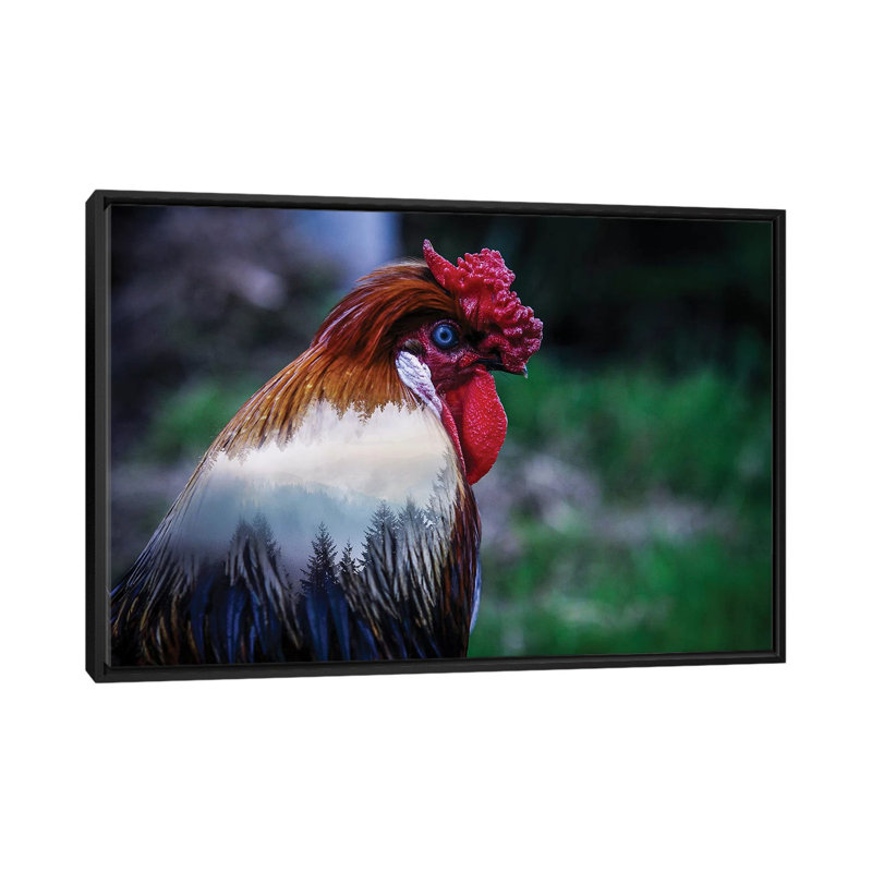 Rooster by Paul Haag - Print on Canvas, Black Framed, 101.6 cm H x 66.04 cm W