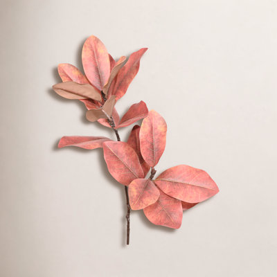 Magnolia Leaf Stems