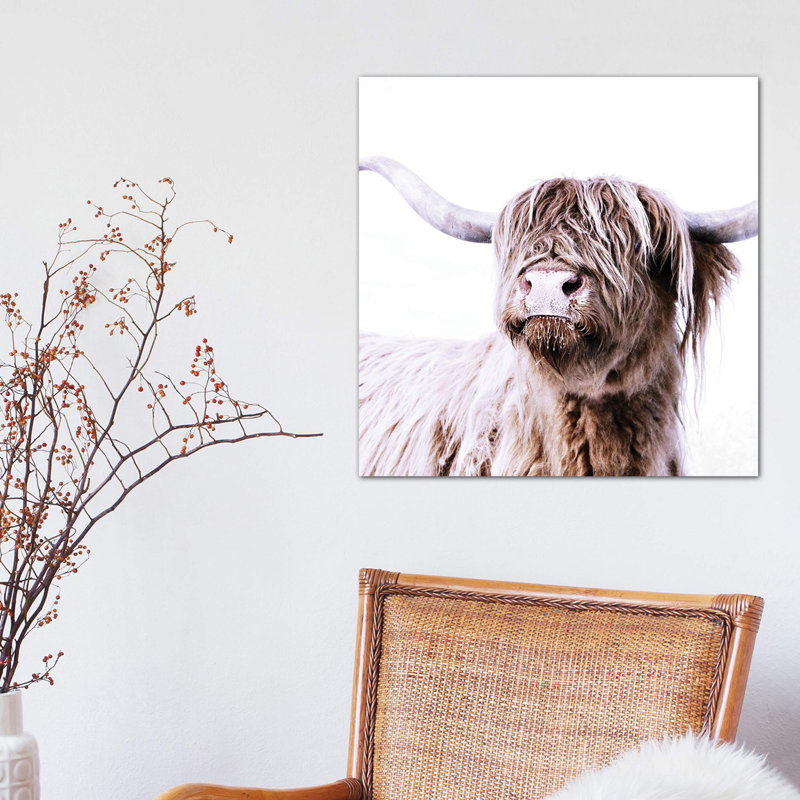 Highland Cattle Frida I Square by Monika Strigel - Wrapped Canvas Print, 45.72 cm H x 45.72 cm W x 1.91 cm D