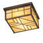 2 - Light Flush Mount-793797598