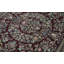 Shah Wool Oriental Area Rug in Red/Blue