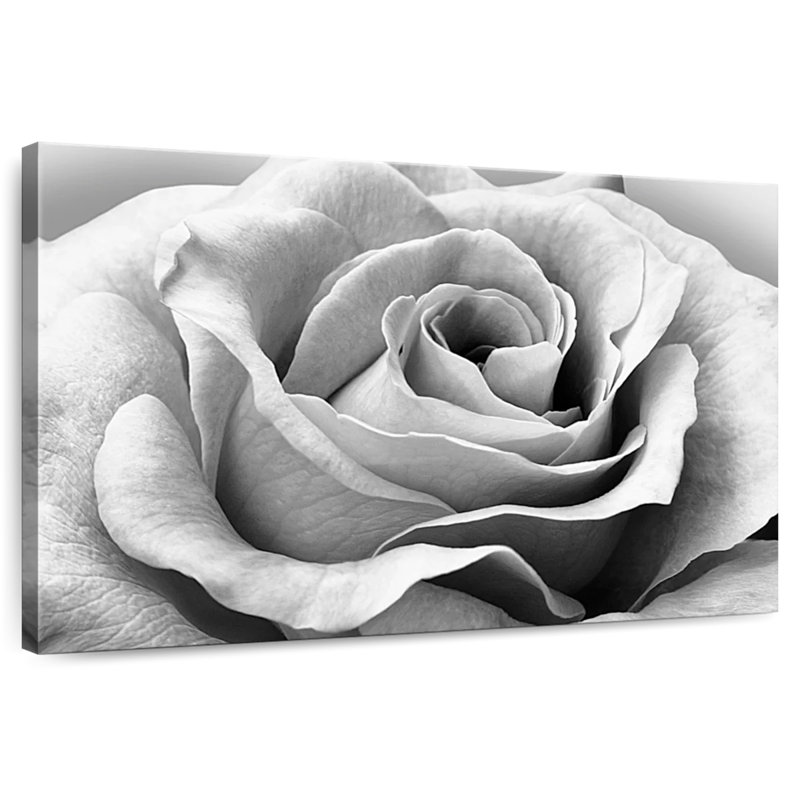 Rose Harnek, H 16 po x l 24 po