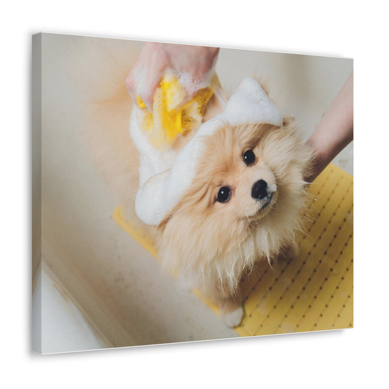 No Frame Print on Canvas