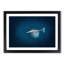 Swimming Dolphin - Picture Frame Painting Print-55617164-55617169
